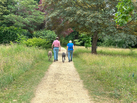 Regular visitors with their dogs enjoying a walk at Ramster Garden