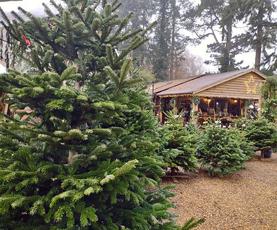 IMG_20231202_094250226 (1).jpg