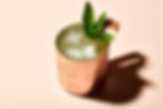 Rum Mule