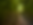 Julie T_path in the woods.png
