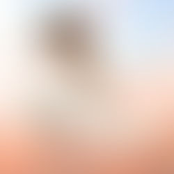 Freelance Fashion Designer in the GCC: How to Scale Premium Activewear Collections