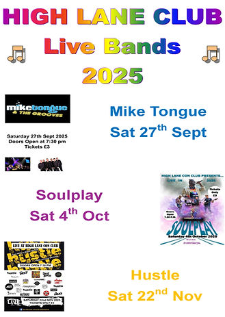 2025 3 Bands Poster.jpg