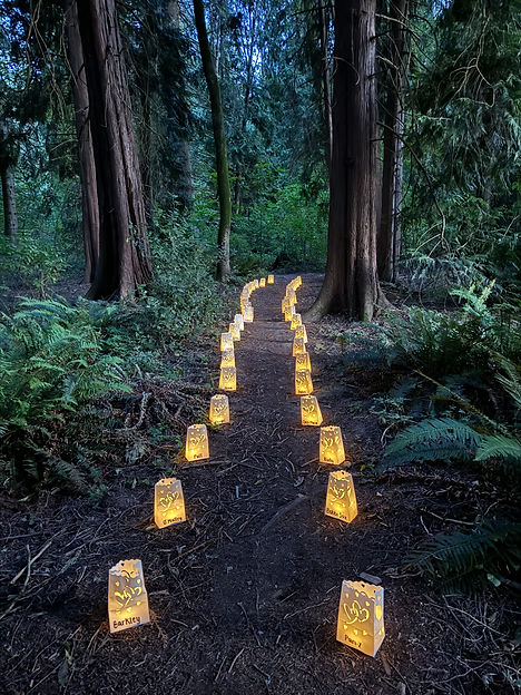 Luminary event.jpg