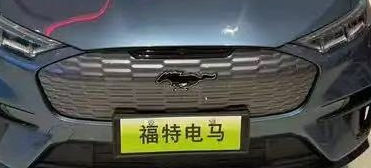 Ford EV's Chinese Name