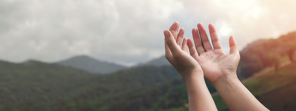 Diseño sin título - 2023-10-14T151140.961.jpg