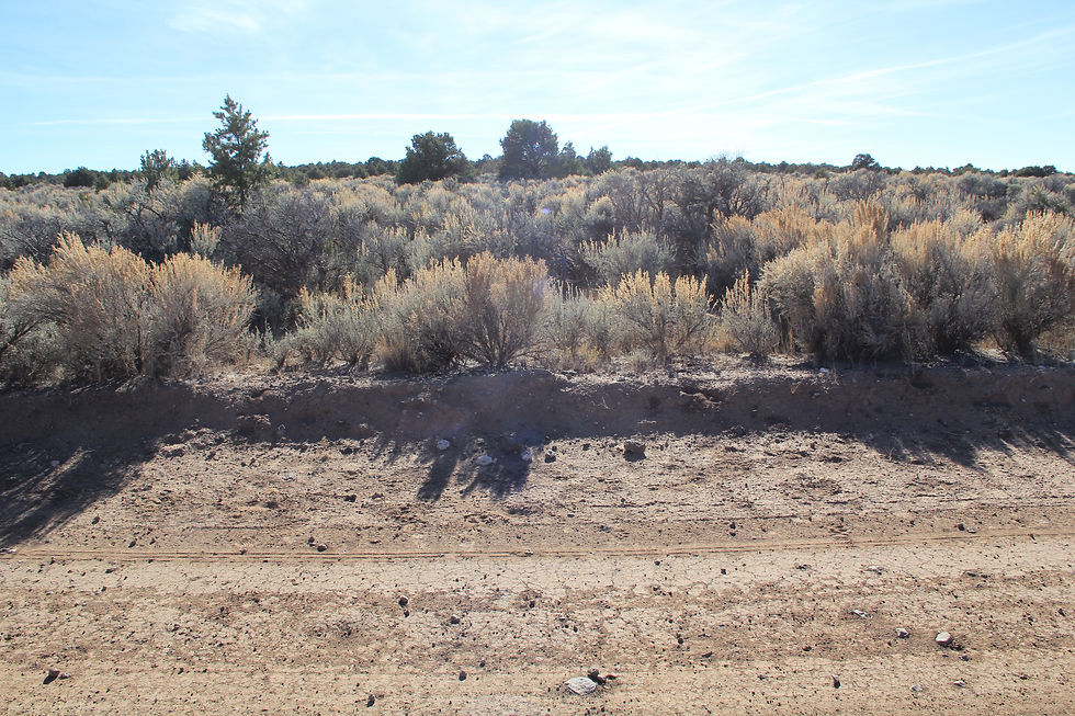 Thumbnail: 2.53 Acres Just 2 Miles From The Sanchez Reservoir