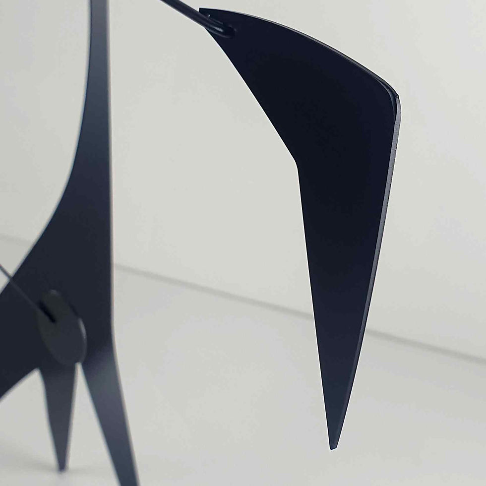 Thumbnail: Stabile N°6 BLACK COMET