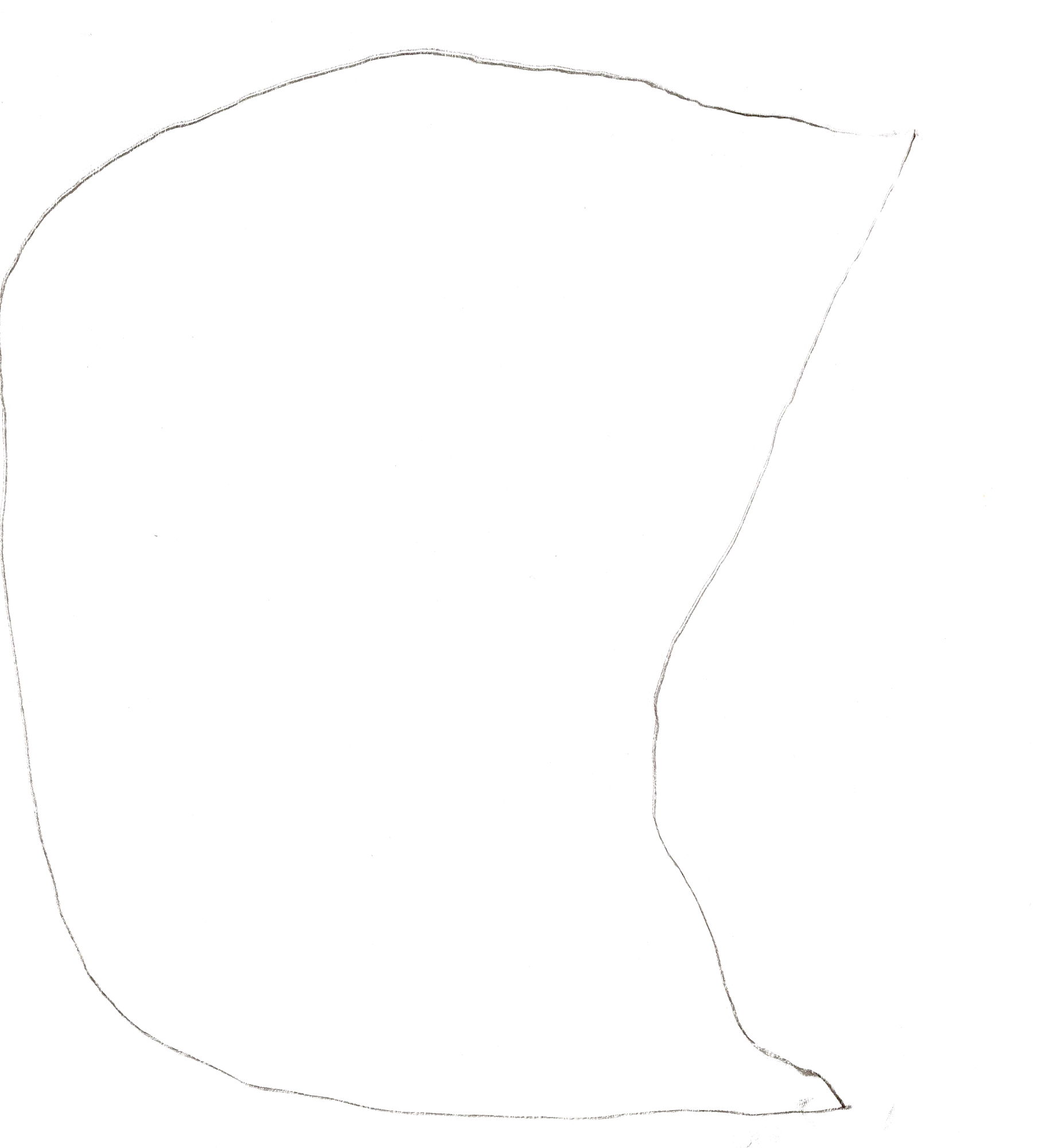 perim_cepillado_010_web.xcf.jpg