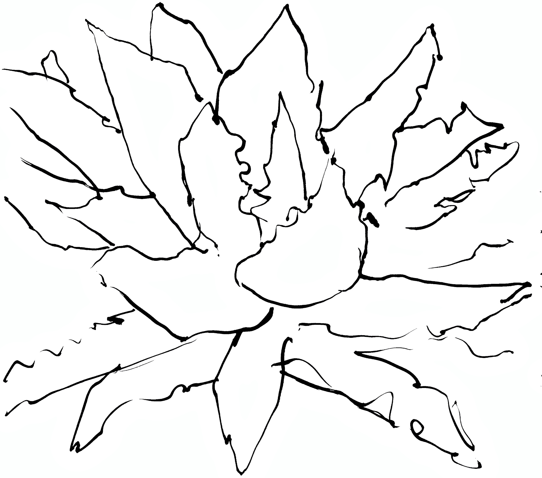 IMG_0516_gimped.JPG