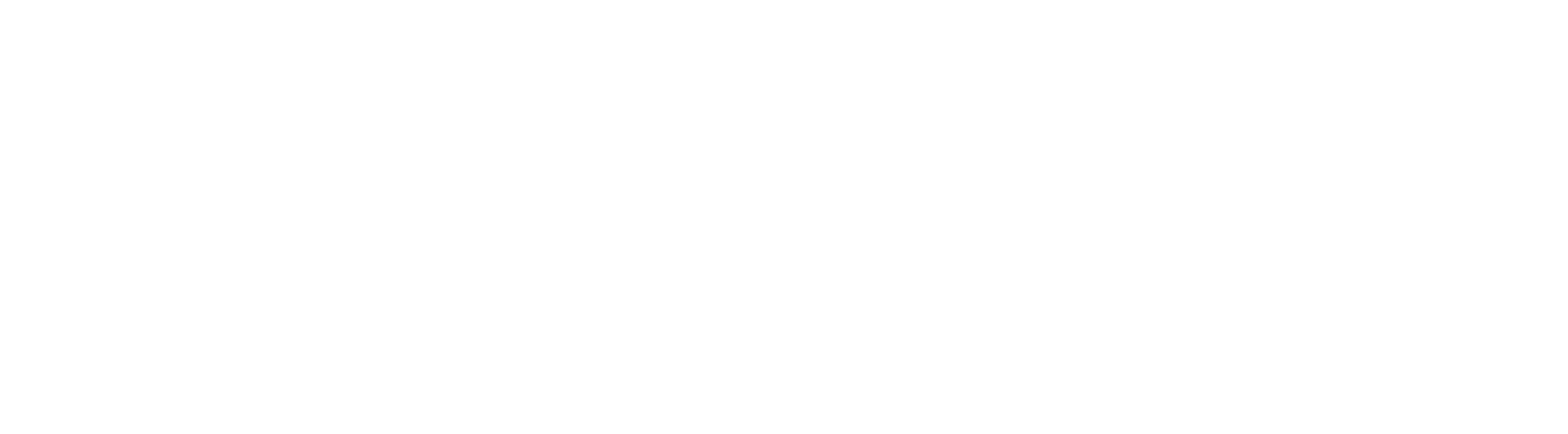 Asset 5_10x.webp