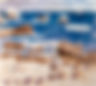 On Site Outdoor Painting Workshop Monterey Ca, USA Dec. 2026