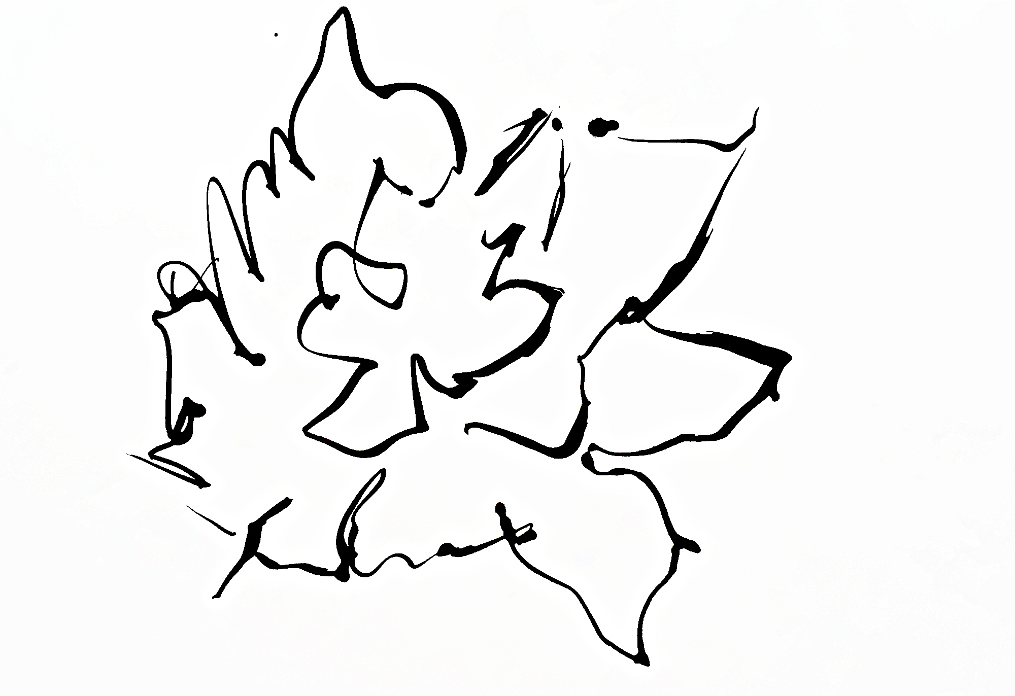 IMG_0493_gimped.JPG