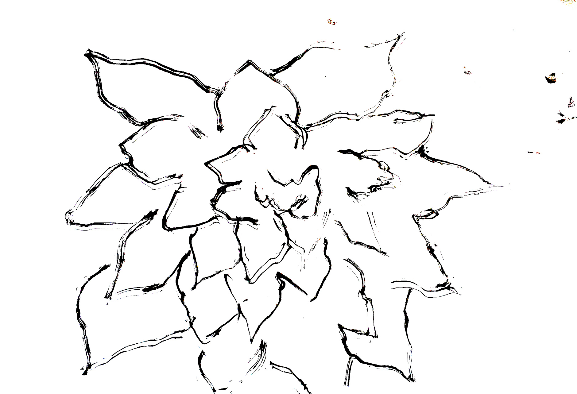 IMG_0514_gimped.JPG