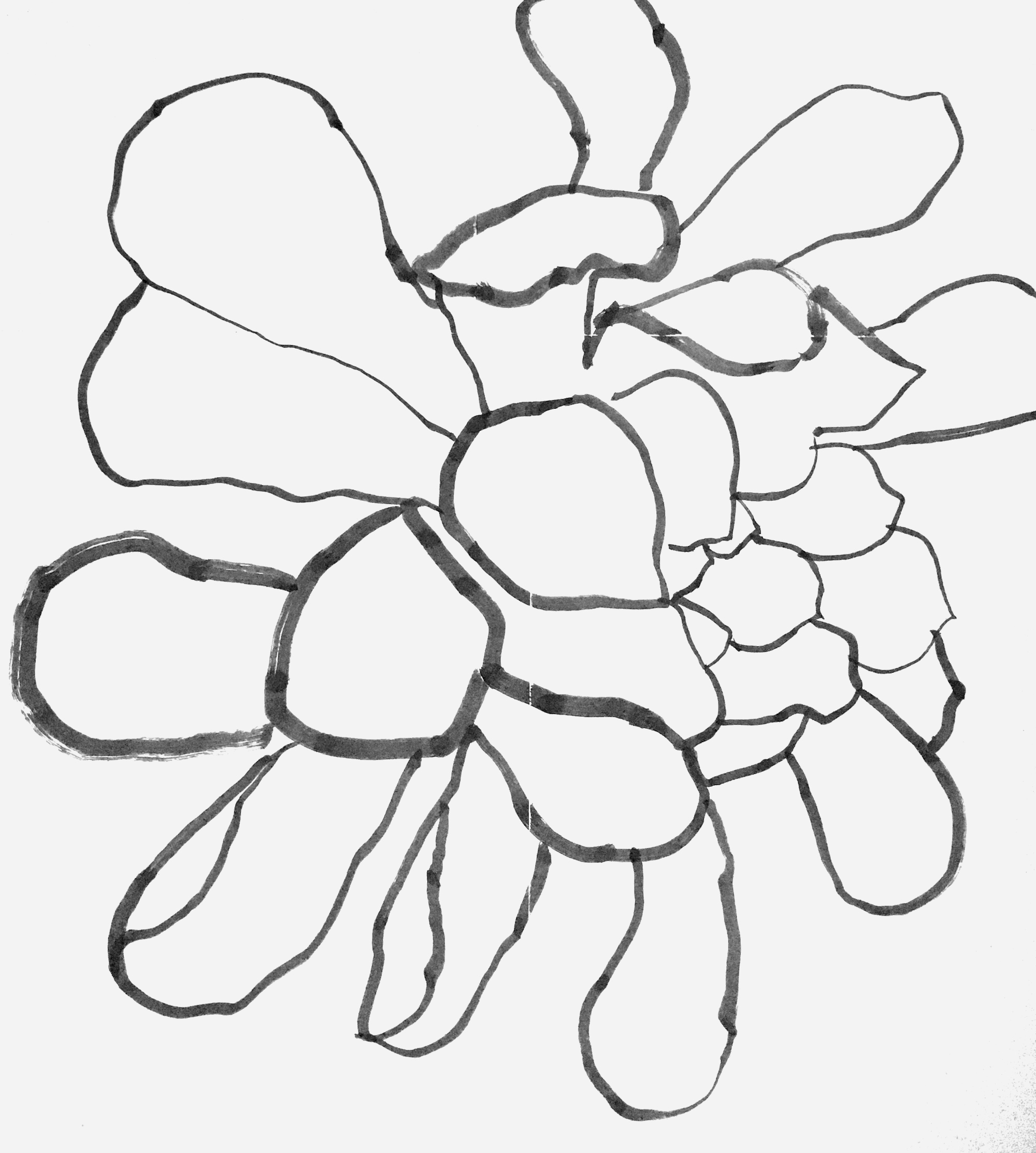 IMG_0467_gimped_1.JPG