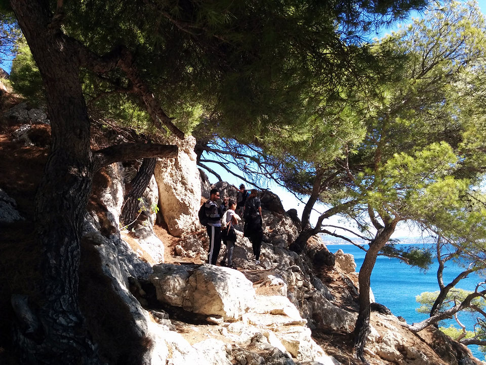 Chemin du retour