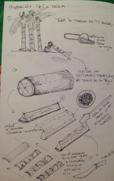 la foto 1 (2)_edited.JPG