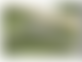 Master Plan : Caimalito