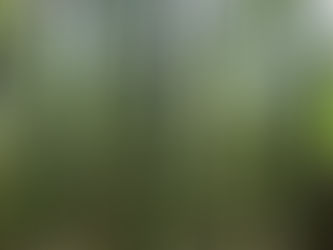 Material de construcción: Guadua angustifolia.