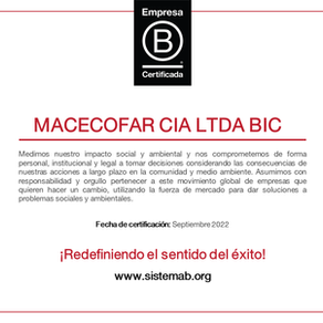 ¿Qué nos motivó a ser una empresa B?