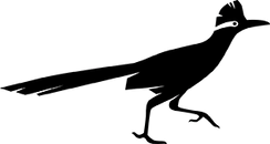 roadrunner_B-removebg-preview (1).png