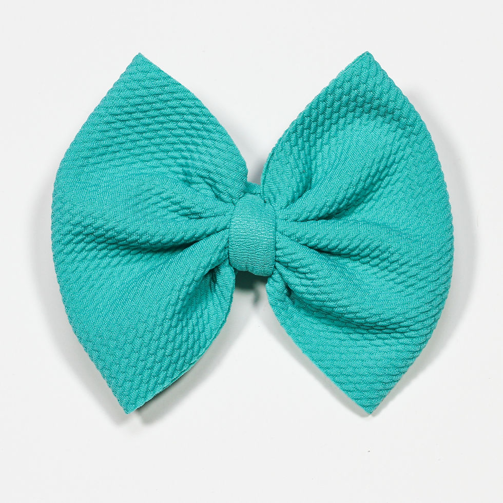 Turquoise-Clip