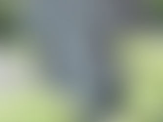 Studying at an English-speaking university? In Quebec, that may cost extra.