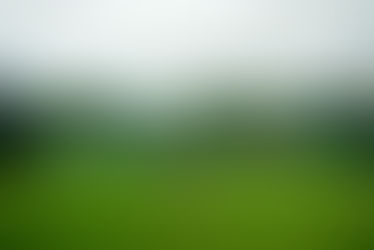 At Wimbledon, players must deal with the challenge of grass