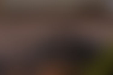 Border arrests in July drop to low under Biden