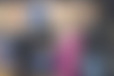 Orientan comunidad de Juan Asencio en Aguas Buenas sobre cómo protegerse de especies invasoras