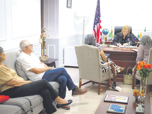 Comité Comunitario de urbanización Villa Humacao presenta preocupaciones en reunión en el Senado