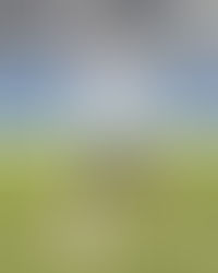 Temporada decepcionante para Caguas Sporting FC