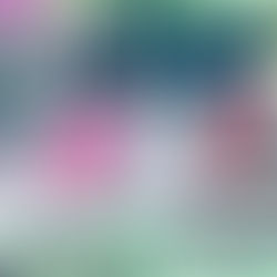 Inicia nueva era del Programa de Masificación Deportiva Municipal de Cayey