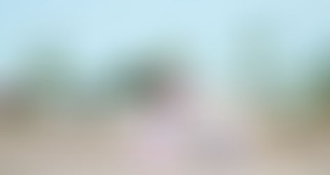 For minority working-class voters, dismay in Democrats led to distrust