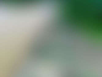 Firm provides update on $75 million emergency warning system for island dams