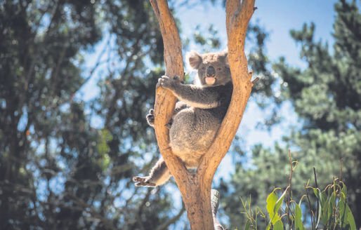 Where to get the most bang for your buck