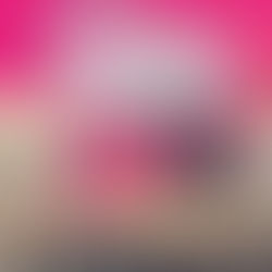 Los Criollos listos para recuperar el trono de “La Pro”