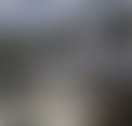 Trump gives Russia less than 2 weeks to end its war in Ukraine