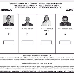 Este domingo elección especial para llenar vacante distrito 31 Caguas-Gurabo