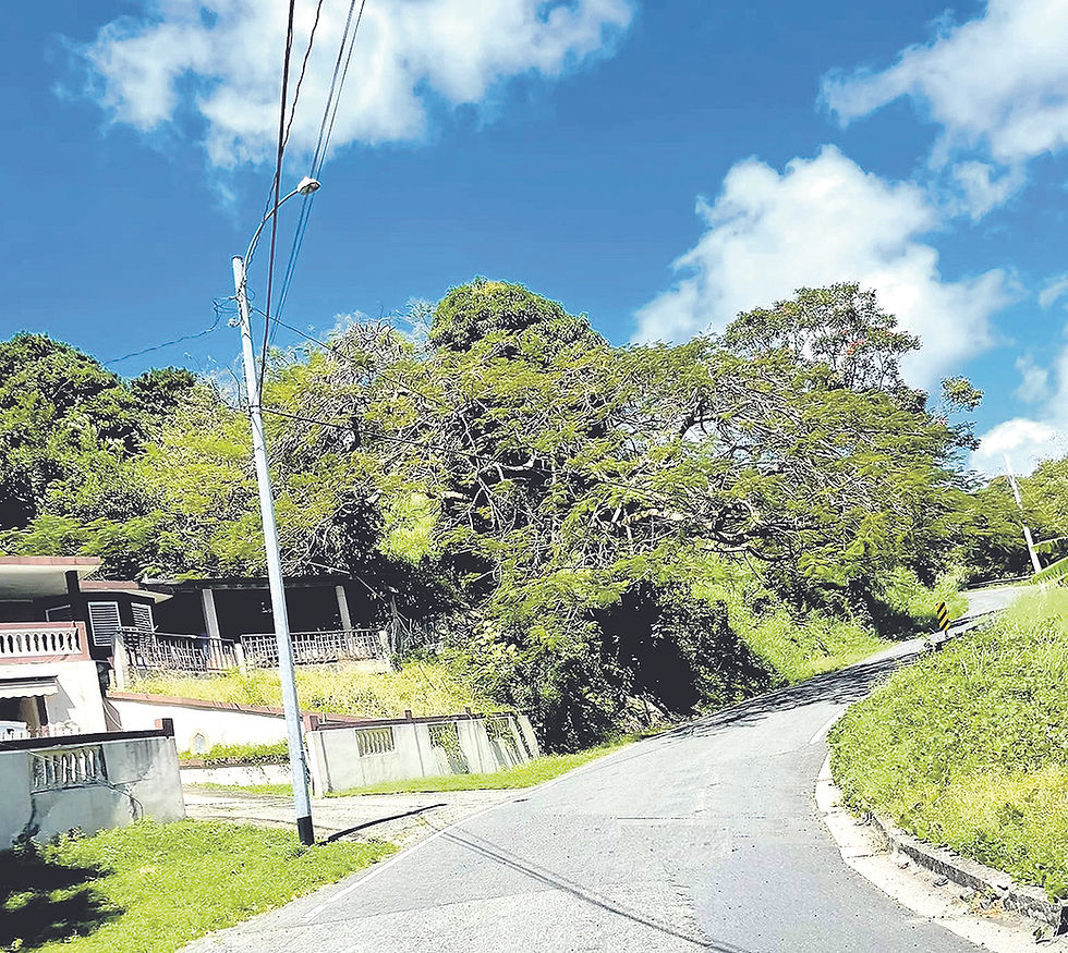 La carretera PR-905 del municipio de Yabucoa llevará su nombre.