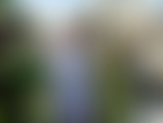 Leader of Kenya, donor to Haiti peacekeeping force, makes first visit