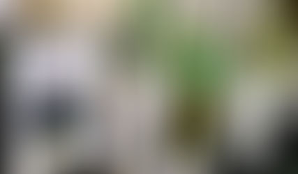 Cayey llora el fallecimiento de escolta gobernadores y empresario Don Luis Francisco Osuna