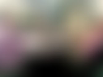 Alcalde de Yabucoa se reúne con subsecretaria del Departamento de Transportación y Obras Públicas