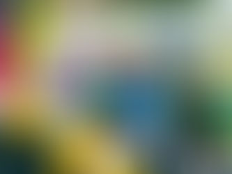 Vega Baja logra aumentar de $2 millones a $10 millones asignación para rehabilita Estadio Román Brull