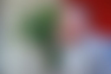 Caguas abre centro de recopilación de daños tras tormenta Ernesto