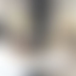 Alcaldesa de Naguabo se reúne con senadora Roxanna I. Soto Aguilú