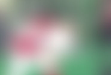 Eliminados los Boomers en semifinales