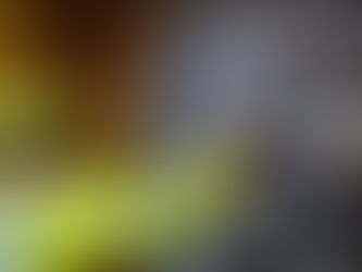 Hombre se queda sin luz porque le roban el fusible del contador en Humacao