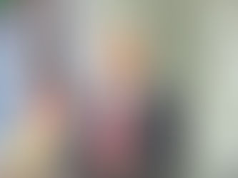 Pide investigación sobre retiro de fondos para placas solares