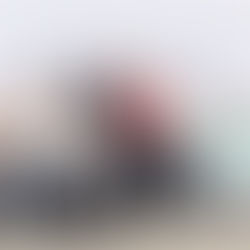 Alcalde de Caguas anuncia nueva etapa de su política pública sobre bienestar animal