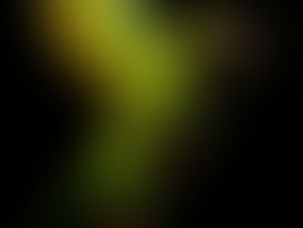 Something like feathers grew on a 247-million-year-old reptile